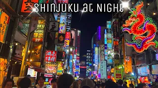 Tokyo Vlog #17 | Shinjuku at Night & Akihabara shopping