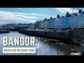 Download Lagu BANGOR (N. Ireland) | 4K Narrated Walking Tour | Let's Walk 2022