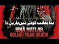 Lagu Bina Matlab Koi Nai Yaar Hunda | بنا مطلب کوئی نئیں یاد ہوندا pujabj kalam | #viral #bulleyshah 