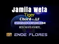 Download Lagu Karaoke Jamila Weta - Tiger (Tanpa Vokal)