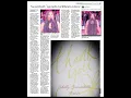 Trinidad Express newspaper features Shelly Sweetshells Rahim - Entertainment by Satheesh Maharaj