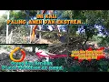 Download Lagu Ini Kali Paling Aneh Dan Ekstrem‼️Orang Bisa Berjalan Di atas permukaan Air sungai
