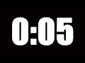5 SECOND TIMER LOUD ALARM