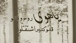 يا هوى روح وقلو وائل كفوري بدون موسيقى 