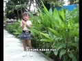 Lagu Anak Indonesia Terbaru : Burung Kakak Tua