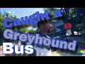 Let s Catch a Greyhound Bus Pittsburgh Pennsylvania USA