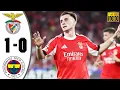 Download Lagu Benfica vs Fenerbahçe 1-0 Highlights \u0026 All Goals 2025 HD