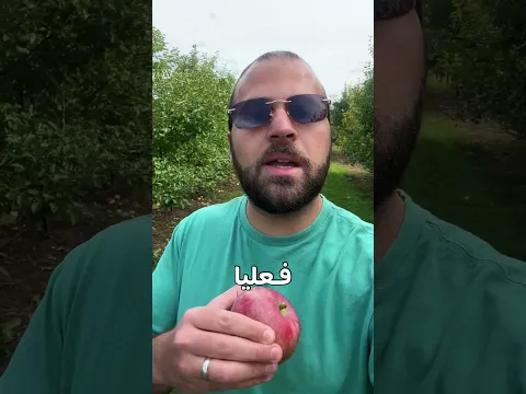 مبدأ الثراء
