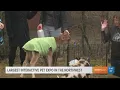 Northwest s Largest Interactive Pet Expo comes to Spokane