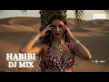 Download Lagu Habibi حبيبي Remix 2025 💫 – Best Arabic Song | Top DJ Mix Hits
