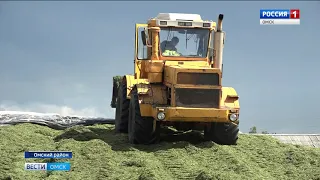 В Омской области идет уборка кормовых культур