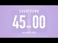 45 Minute Countdown Timer Flip Clock with Bell Alerts