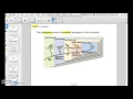 Cladogram Notes