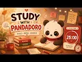 25 Minute Pomodoro Cozy Panda Study Session for Deep No Noise PandaDoro