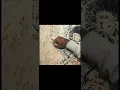 Tory Lanez - One Minute Ago ft. Chris Brown (Snippet)(IG LIVE)