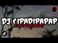 Download Lagu DJ CIPADIPAPAP KOPLO STYLE PARJAMBAN SLOW BASS VIRAL 2022