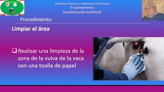 Inseminación Artificial en Bovinos Parte 3: Procedimiento