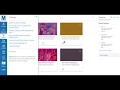 Demonstration for Customizing Courses in Canvas