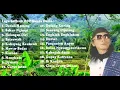 Download Lagu album pop sunda darso full tanpa iklan 👍