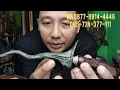 Download Lagu ISTIMEWA SEKALI Pusaka Kewibawaan \u0026 Ketentraman Keris Balebang Dwi Pamor Est Pengging