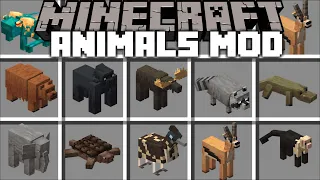 Minecraft ZOO MOD / BREED THE ANIMALS AND WATCH THEM GROW!! Minecraft