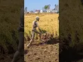 Download Lagu Kerja Sawah Di China Menggunakan Robot