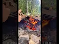 Best Way to Cook Food Over a Campfire