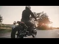Massane - Summer's End