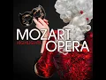 The Marriage of Figaro, K. 492, Act I: Figaro's Aria - "Non piu andrai"