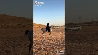 اطا على روس الافاعي وسمي  اطا على روس الافاعي وسمي