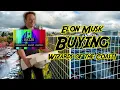Clues to Elon Musk s Next Move Will he BUY Hasbro
