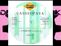 Casseopaya – Overdose (Remix) 1994