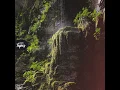Gumpen - Spaze Windu & Golden Ticket Tapes