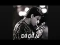 Download Lagu INDILA Dil Dil Ja (Thug Mariage) #dil #music
