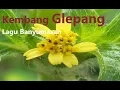 Download Lagu KEMBANG GLEPANG - LAGU KLASIK LEGENDARIS BANYUMASAN
