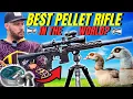Download Lagu FX DRS TACTICAL: BEST PELLET RIFLE IN THE WORLD?