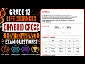 Grade 12 Dihybrid Cross EXAM Question Explained FULL MARKS Genetics Life Sciences
