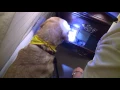 Dodson Pest Control - Bed Bug Canine WTVR