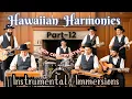 Download Lagu Hawaiian Harmonies (Part 12) | Instrumental Immersions | Serene Hawaiian, Pedal \u0026 Lap Steel Guitars