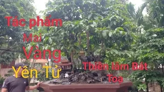 Download Tác phẩm.Thiên lâm Bát Toạ.mai vàng yên tử MP3