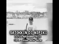 Download Lagu SATOKKIN DI NIPIKI || Lirik ARGHANA TRIO || Lagu Batak Viral || Cipta : Jasman Butar-Butar