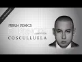 Download Lagu Cosculluela - Prrrum Remix (Visualizer)