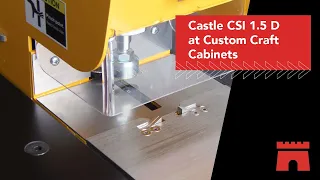 Castle CSI 1 5 D at Custom Craft Cabinets