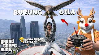 AKU MENGENDALIKAN BURUNG DAN PRANK ORANG KE ATAS GEDUNG - GTA 5 ROLEPLAY