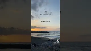 اغنية شاب مومو الجديدة ذكريات 