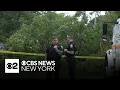 Several hurt when tree falls in Teaneck N J