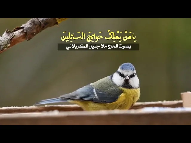 ⁣يامن يملك حوائج السائلين | الملا جليل الكربلائي