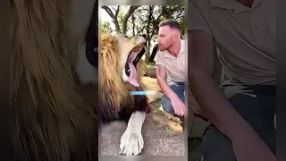 این یعنی از خودگذشتگی واقعی  این یعنی از خودگذشتگی واقعی