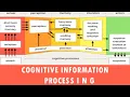 Cognitive Information Processing in Psychology Basic Principles of Information Processing System