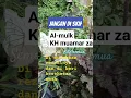 Download Lagu Kh muamar za surah Al-mulk #AlquranKhmuammarza#qori#tilawah#contencreator#shorts